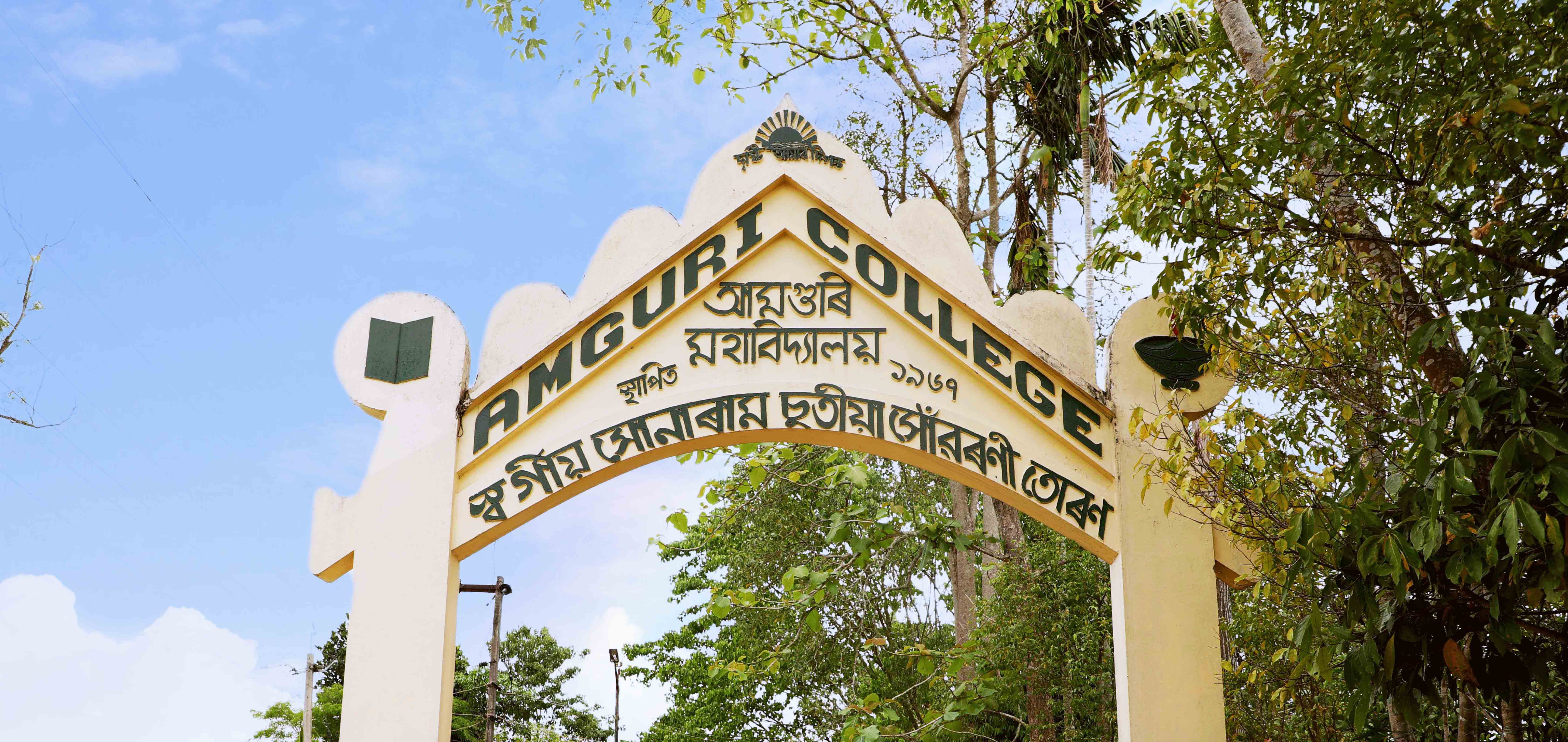 Amguri College